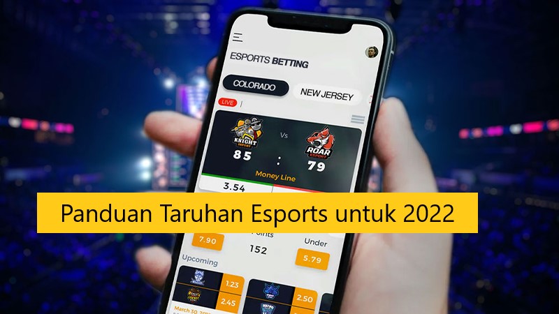 Panduan Taruhan Esports untuk 2022